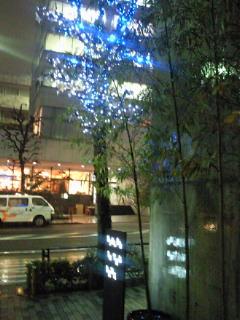 b0007421_2215529.jpg