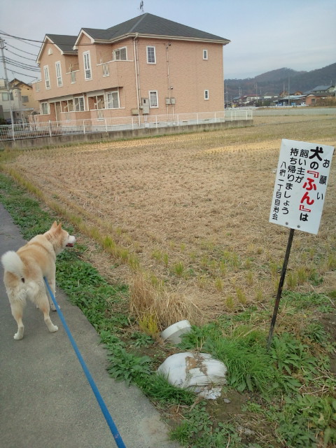 d0077029_10553157.jpg
