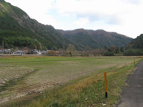 f0000330_847183.jpg