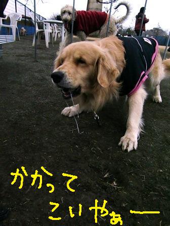 f0176830_20271837.jpg