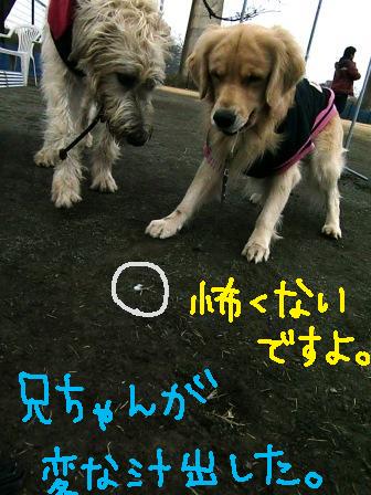 f0176830_2029498.jpg
