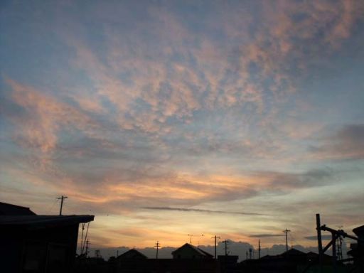 b0012636_1381647.jpg