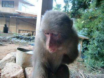 c0183137_2112989.jpg