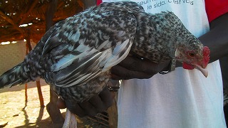 f0204737_1737419.jpg