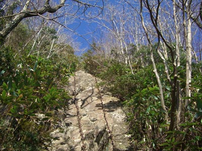 e0110940_1343352.jpg
