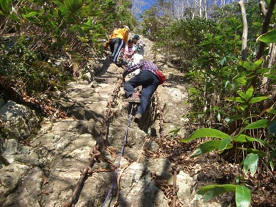 e0110940_1363319.jpg