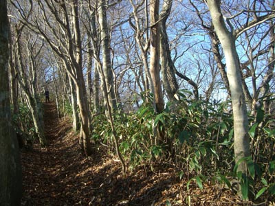 e0110940_1381696.jpg
