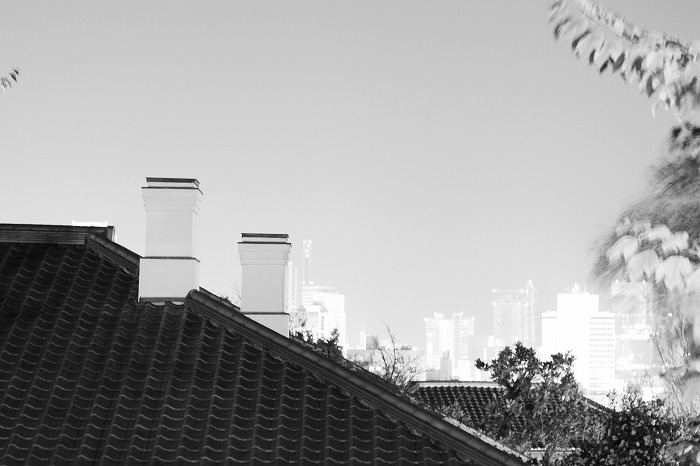 b0168041_17585659.jpg