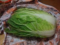 e0077142_21421621.jpg