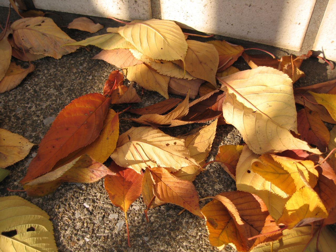 c0214545_2122367.jpg