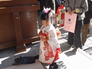 a0068350_752841.jpg