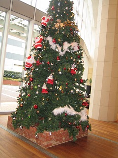 b0175351_2239811.jpg