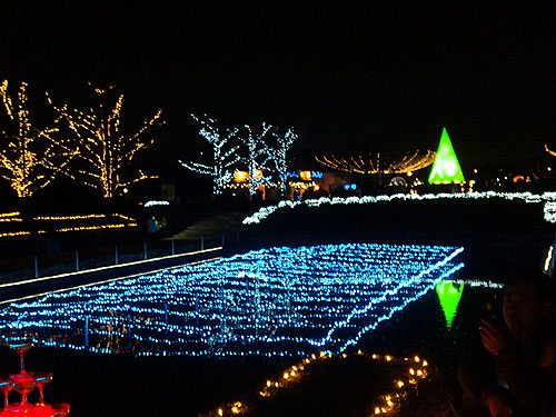 b0101263_1091138.jpg