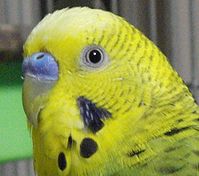 f0196665_023238.jpg