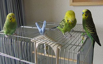 f0196665_032179.jpg