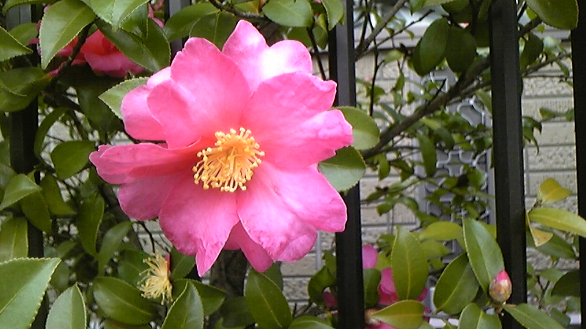 c0202870_13122166.jpg