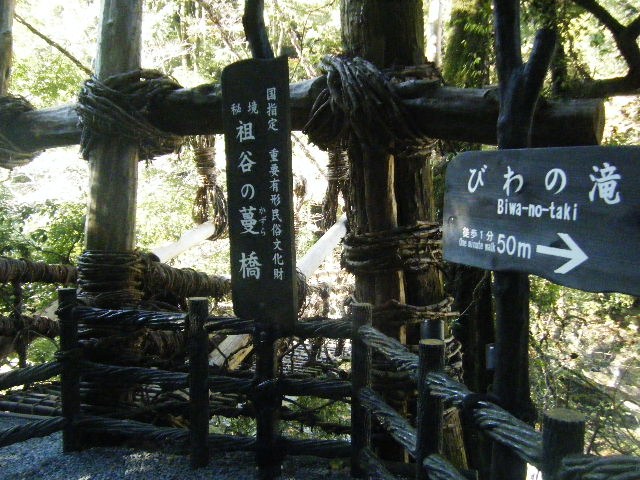 f0207970_8323780.jpg