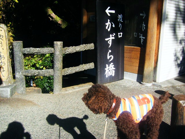 f0207970_8331575.jpg