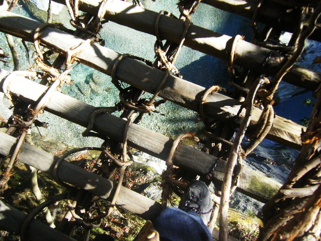 f0207970_845188.jpg