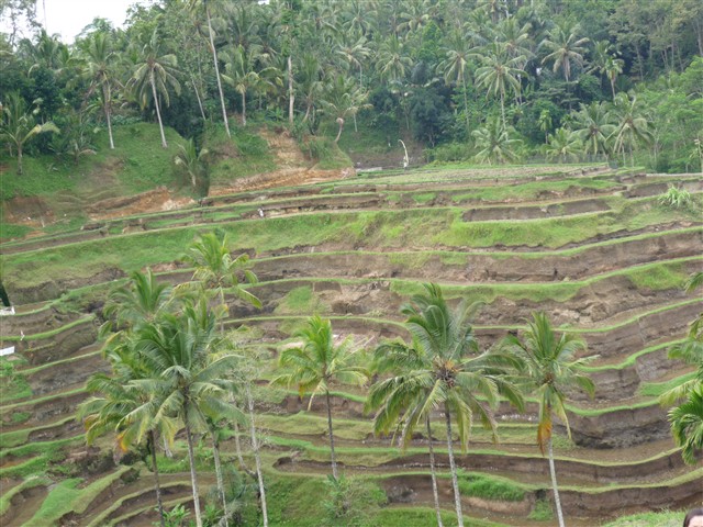 c0110871_17541799.jpg