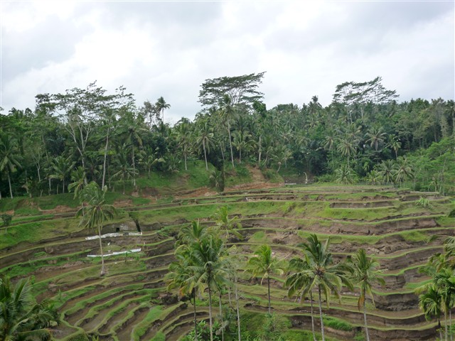 c0110871_1754591.jpg
