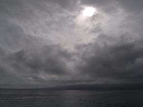 a0109187_15194824.jpg