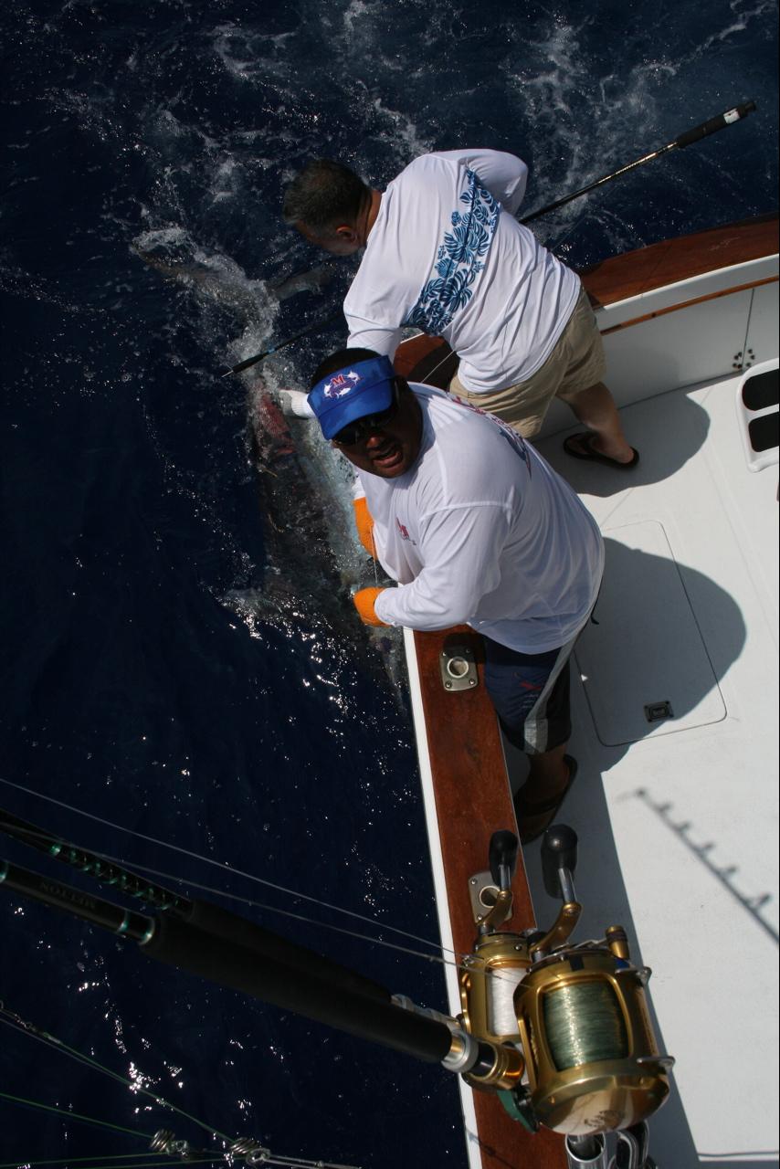 b0084893_8134591.jpg