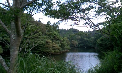 b0029694_18161739.jpg