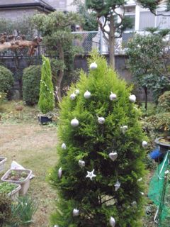 f0130894_22323850.jpg