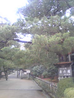 c0034396_10434896.jpg