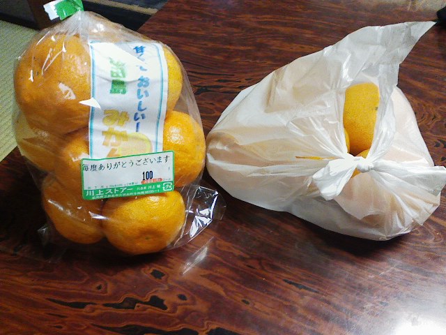 d0055397_761075.jpg