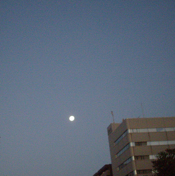 c0138198_18181086.jpg