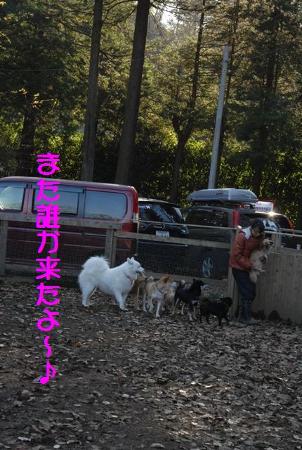 e0018604_1294591.jpg