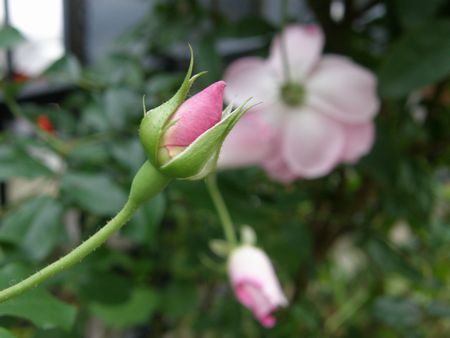 b0061107_21193731.jpg