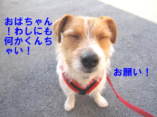 c0185516_23112015.jpg
