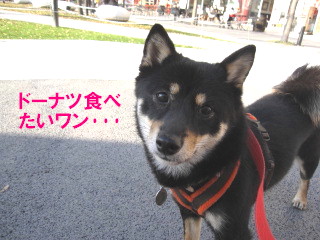 c0185516_23113929.jpg