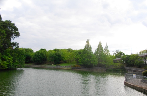 e0119017_2341234.jpg