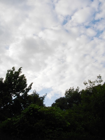 e0119017_234197.jpg