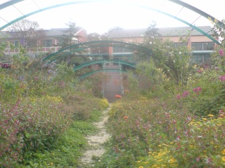 e0135518_1101329.jpg