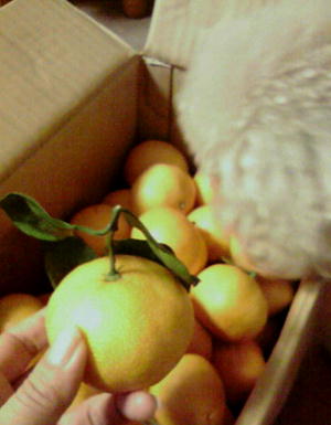 c0060920_23385153.jpg