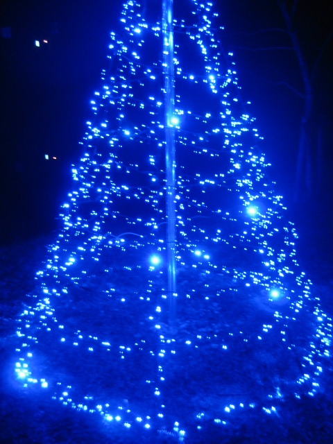 d0147727_20373152.jpg