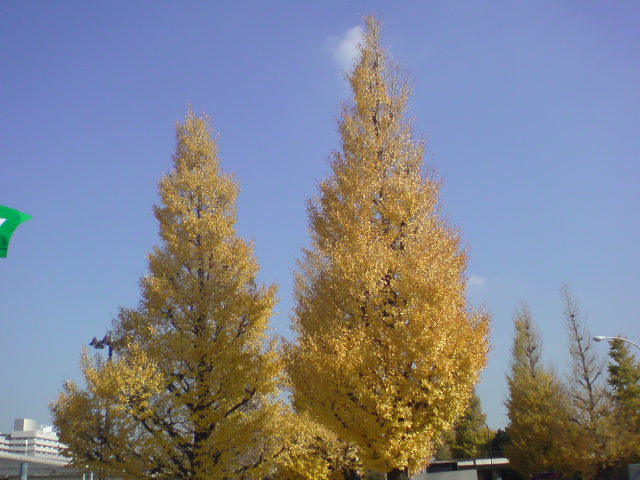 e0016828_11225939.jpg