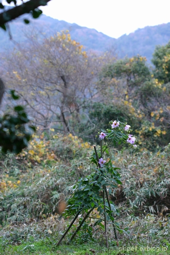 c0134734_1730490.jpg