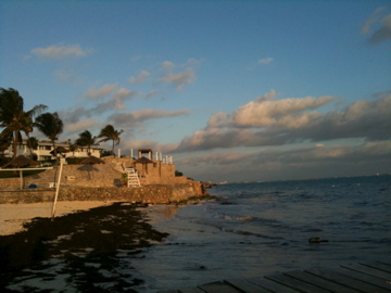 f0096734_15541749.jpg