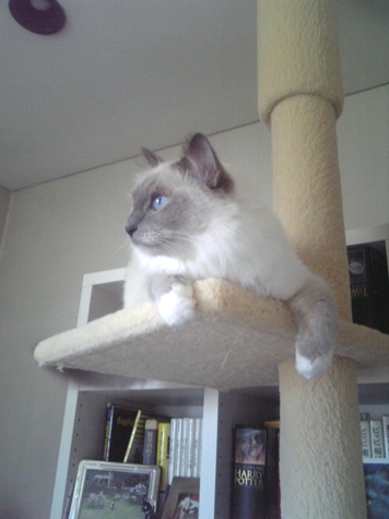 d0140838_040358.jpg