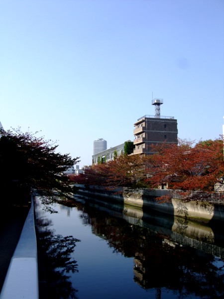 d0023346_21512167.jpg