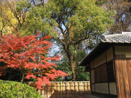 c0073649_11365319.jpg