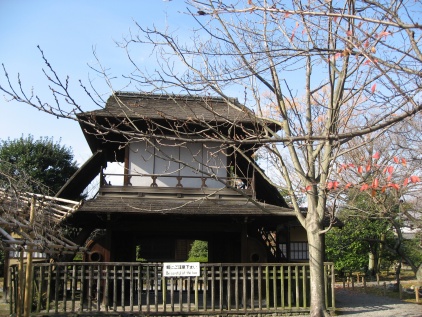c0073649_11382823.jpg