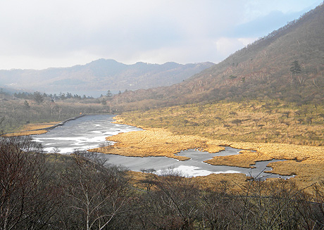 a0001354_1963941.jpg