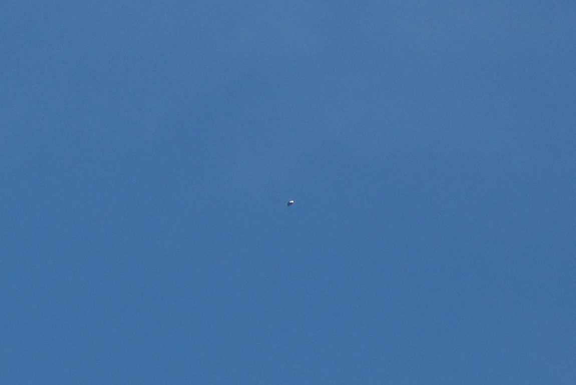 b0173754_216224.jpg